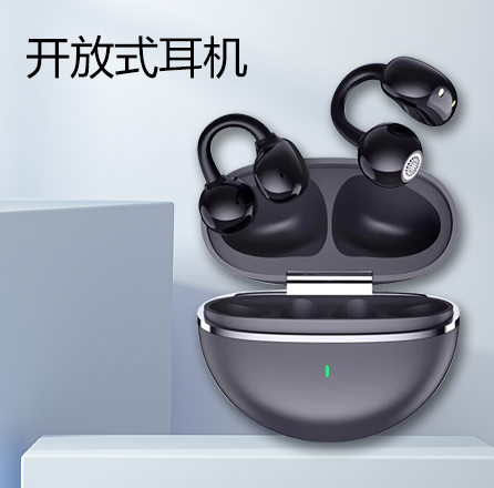 Wireless earbuds